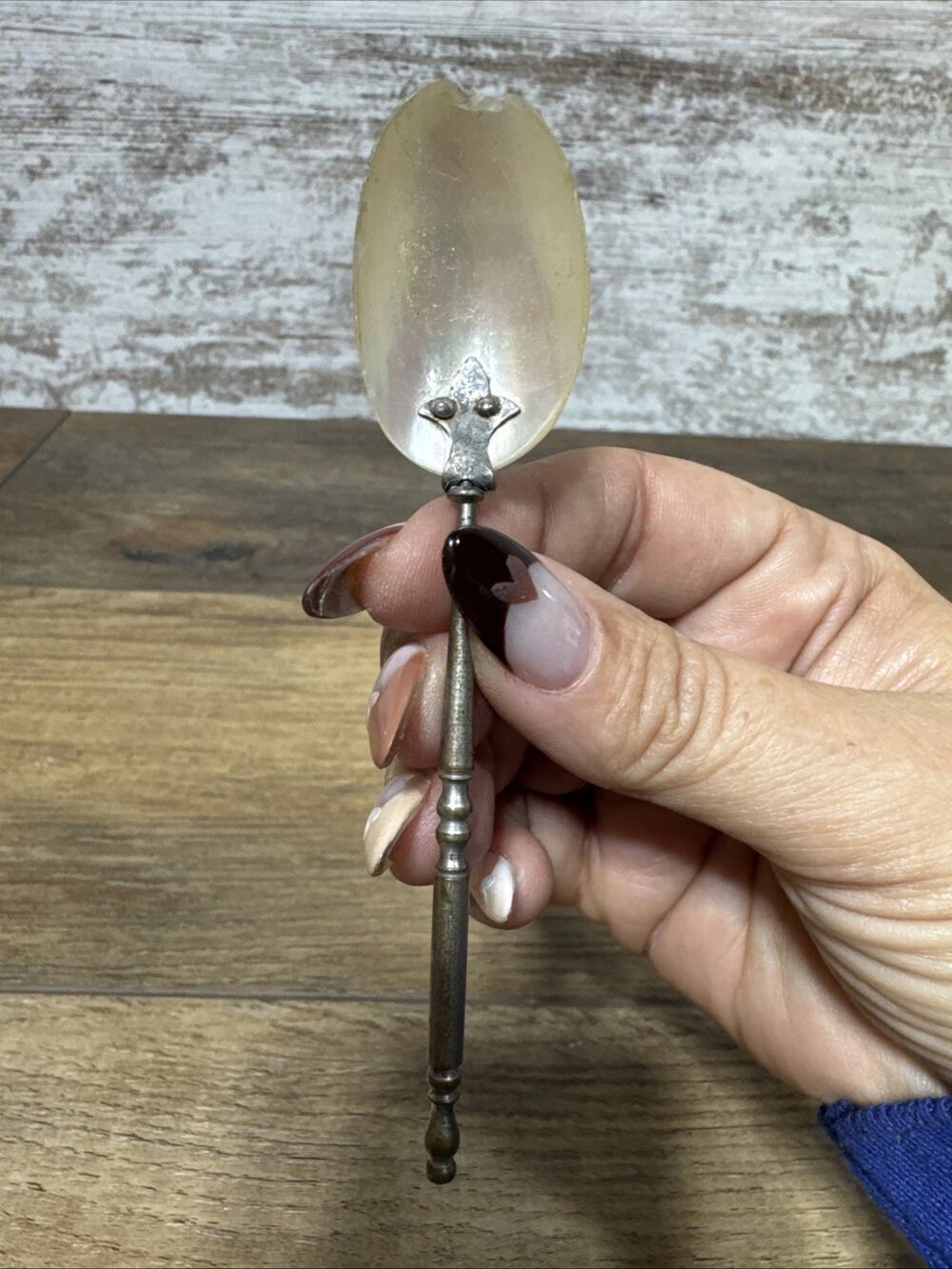 Art Nouveau Tea Spoon – Mother of Pearl Decorative Metal Handle